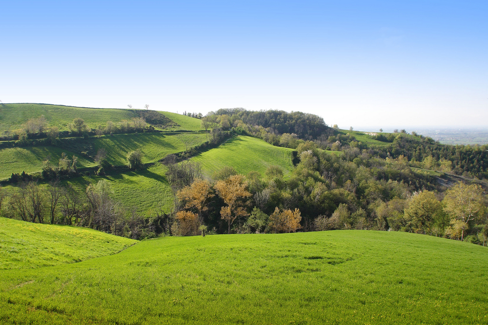 Trade, Tennessee Real Estate Listings Misty Oaks Real Estate